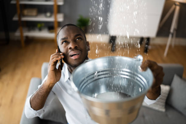 Best Water damage contractors near me  in Chicago Heights, IL