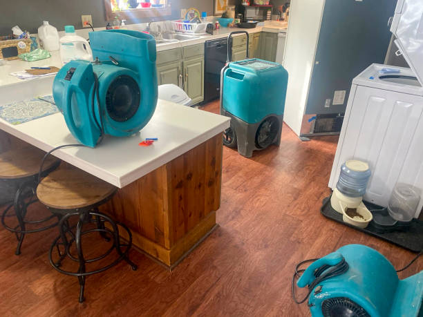 Trusted Chicago Heights, IL Water damage restoration Experts