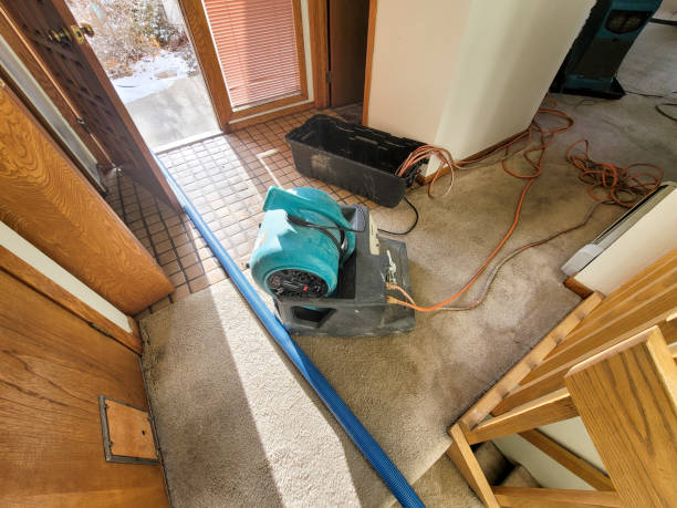 Water damage restoration experts in Chicago Heights, IL