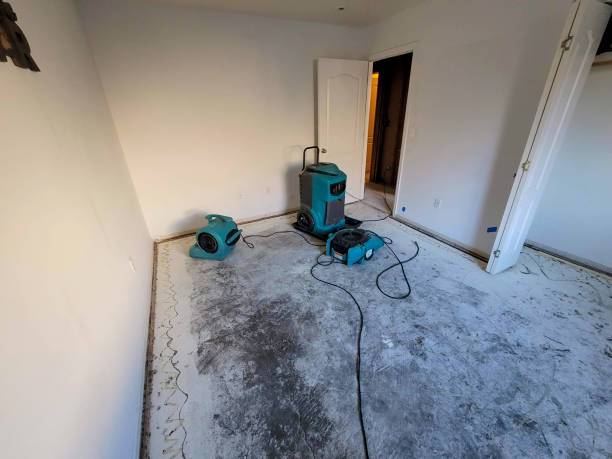 Best Local water damage restoration  in Chicago Heights, IL