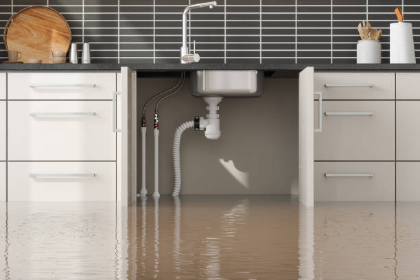 Best 24/7 water damage repair  in Chicago Heights, IL